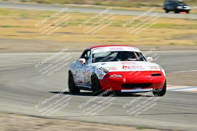 media/May-24-2025-Turn8 Trackdays (Sat) [[034586b55d]]/1 Advanced 2/Session 2 (Cotton Corners-Grapevine)/